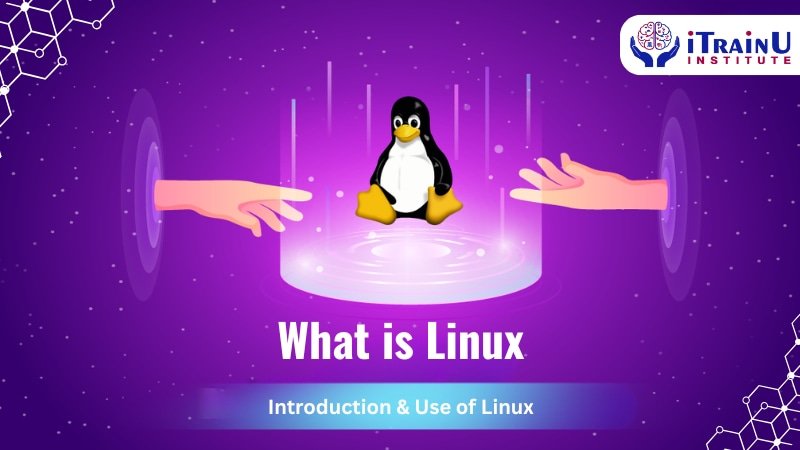 What is Linux